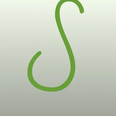 Сияние Севера
